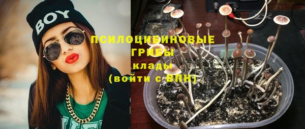 каннабис Белокуриха