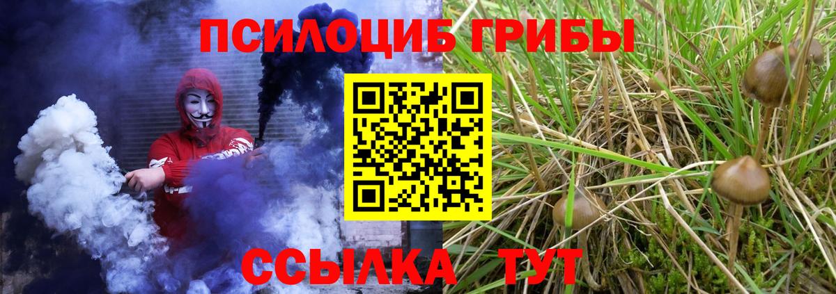 Галлюциногенные грибы Magic Shrooms  Псилоцибиновые грибы ЛСД  Вход с VPN  Маркс 