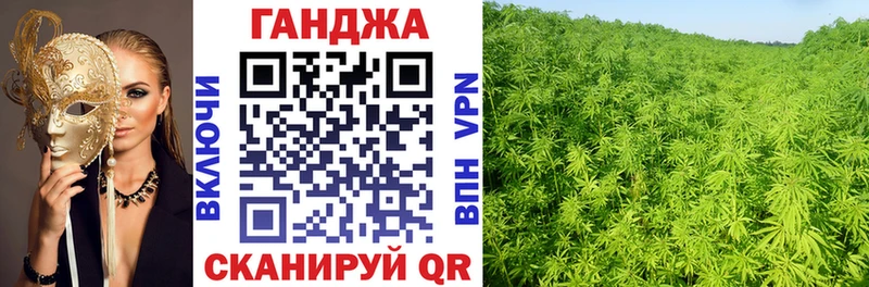 Шишки марихуана сатива Маркс